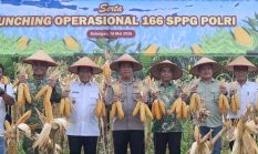 Kapolres Balangan Hadiri Panen Raya Jagung Kuartal II,  Presisi Polisi Dukung Ketahanan Pangan Dan Produktivitas Petani