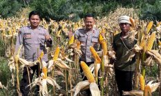 Polsek Halong All Out Dukung Asta Cita Presiden Dalam Mengawal Petani Untuk Ketahanan Pangan Nasional