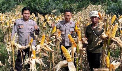 KETERANGAN FOTO : Polres Balangan melalui Polsek Halong dukung penuh program Asta Cita Presiden RI untuk ketahanan pangan (Sumber Polres Balangan)