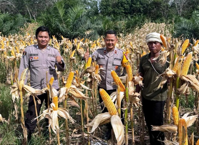 KETERANGAN FOTO : Polres Balangan melalui Polsek Halong dukung penuh program Asta Cita Presiden RI untuk ketahanan pangan (Sumber Polres Balangan)