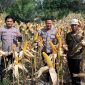 KETERANGAN FOTO : Polres Balangan melalui Polsek Halong dukung penuh program Asta Cita Presiden RI untuk ketahanan pangan (Sumber Polres Balangan)