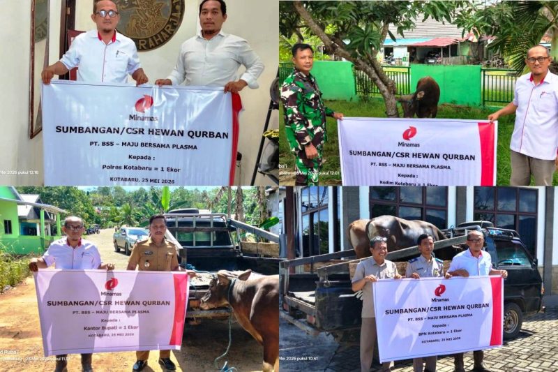 KETERANGAN FOTO : Minamas Plantation melalui anak perusahaannya menyalurkan puluhan ekor sapi qurban kepada masyarakat. (Sumber : Minamas Plantation)