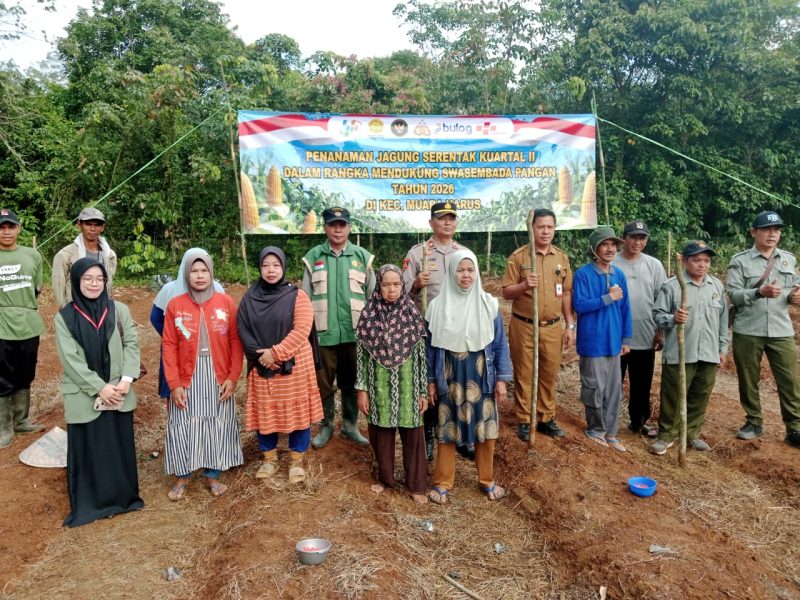 KETERANGAN FOTO : Polres Tabalong tanam Jagung di Muara Harus. (Sumber Foto : Humas Polres Tabalong)